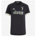 Günstige Juventus Adrien Rabiot #25 3rd Fussballtrikot 2023-24 Kurzarm